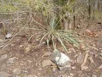 010.webp