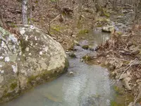 004.webp