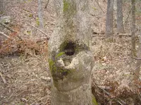 002.webp