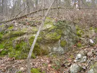 001.webp