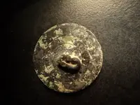 rsz_1rsz_dsc00266.webp