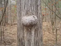 006.webp