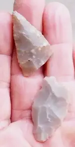 DSCN1965.webp
