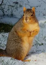 who you lookin at.webp