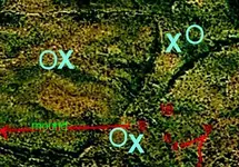 Cave from satellite-LGcrop.webp