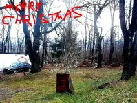 Copy of Picture 029.webp