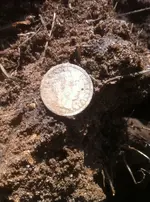 Barber Dime on dirt.webp