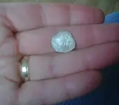 IMG00295-20120128-1543.webp