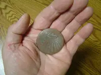 relic finds 014.webp