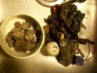 FEB 8TH COLD BEACH HUNT GOLD 003.webp