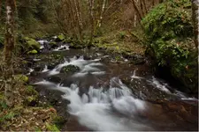 IMG_2652And9more_fused.webp