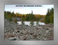 AUTUMN WILDERNESS SCENES [GF].webp