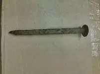 Nail 001.webp