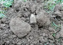 .58 cal. 3 Ring Bullet 1-16-2012.webp