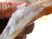 DSCF0002.webp