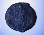 coin back.webp