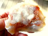 DSCF0005.webp