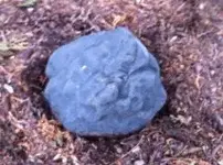 meteorite.webp
