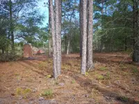 area of coins found 013.webp