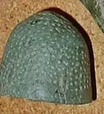 Beehive.webp