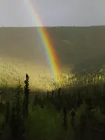 Rainbow.webp