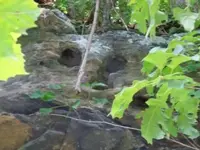 cliff 1.webp