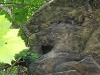 cliff 4.webp