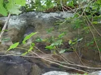 cliff 3.webp