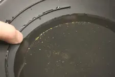 Pan of Gold Close Up 2.webp