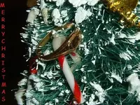 DSCF1183.webp