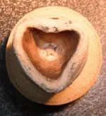 DSCF2900.webp