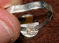 IMGP00011 (3).webp