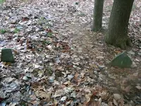 NH FINDS 11-28 007.webp