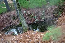 NH FINDS 11-28 008.webp