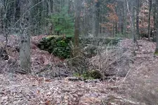 NH FINDS 11-28 009.webp
