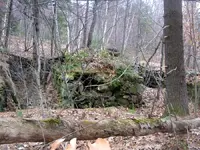 NH FINDS 11-28 010.webp