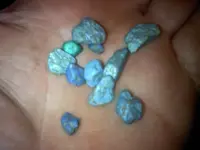 0218121946.webp
