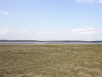 980706083122.webp