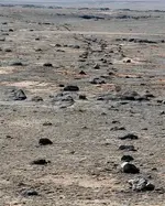 rocky road (Small).webp