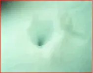 BlueSnow.webp