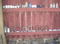 horseshoes.webp