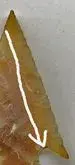 flute.webp