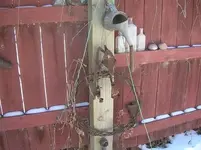rusty skates and wire.webp