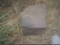 rock x.webp