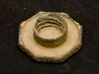 Head side.webp