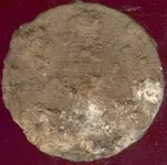 Token Today Dirty.webp