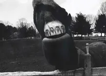 horse[1].webp