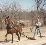 Dad with Knight and stoneboat.webp