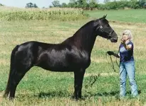 WhiteWillowDuskyKate And Mom.webp