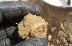 Dirt Clod Ring 3.webp